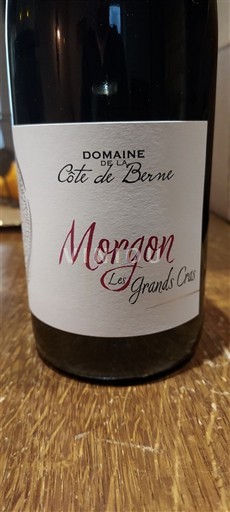 Beaujolais Morgon Domaine La Côte de Berne Les Grands Crus Ikke årgangsbestemt