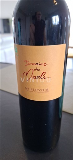 Languedoc Minervois Domaine S Maels Non-Vintage