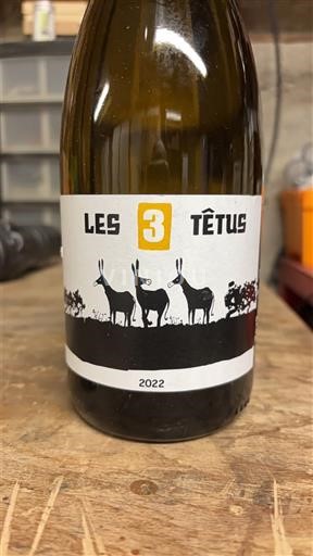 Sudoeste Côtes del Tarn Les 3 Têtus 2022