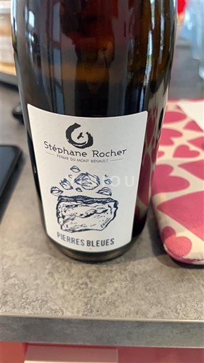 Vallée de la Loire Coteaux-du-vendômois Stéphane Rocher Pierres Bleues Non Millésimé