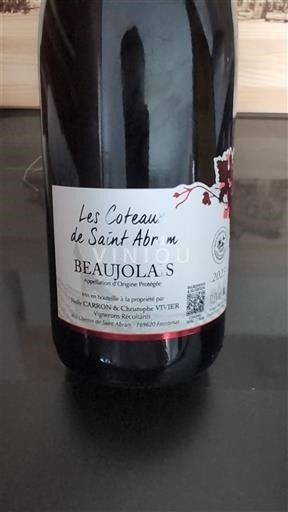 Beaujolais Beaujolais Nouveau Les Coteaux de Saint Abram 2025