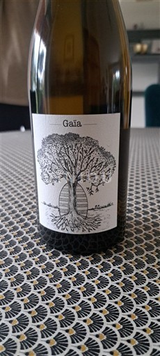 Dolina Loare Jérôme Bretaudeau Gaïa 2021