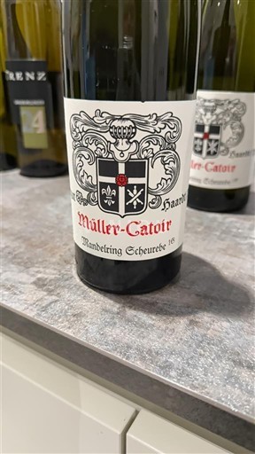 Palatinate Müller-Catoir Haardt Mandelring Scheurebe trocken 2024