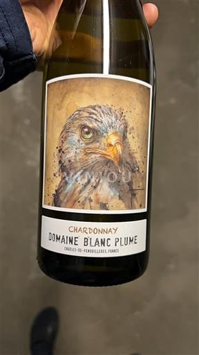 Vine Blanc sec Chardonnay Domaine Blanc Plume 2023 Frankrig Languedoc og Roussillon Pays d'Oc IGP