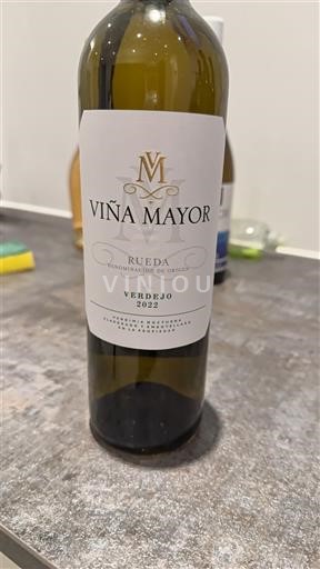 Castela e Leão Rueda Viña Mayor Verdejo 2022