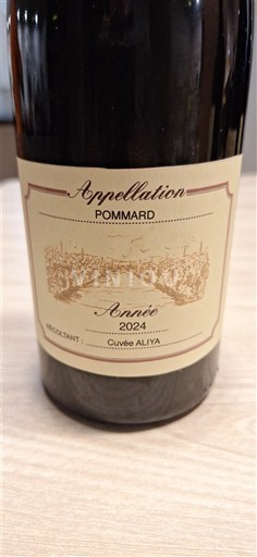 Burgundija Pommard Domaine Jean-michel ALIYA 2024