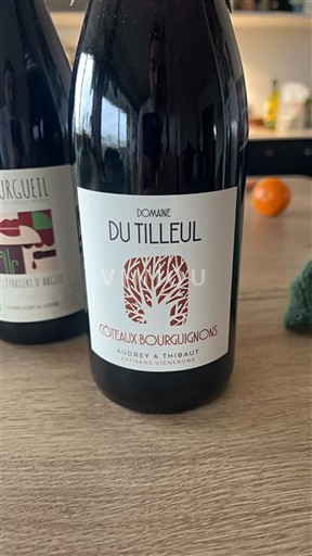 Bourgogne Bourgognebackar Domaine Tilleul 2023