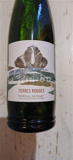 Linguadoca Picpoul-de-pinet Terres Rouges 2023