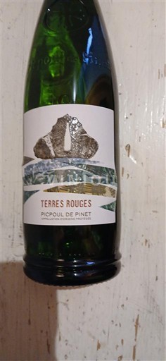 Linguadoca Picpoul-de-pinet Terres Rouges 2024