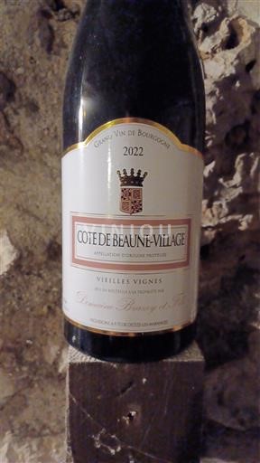 Burgundy Côte de Beaune Villages Domaine Brazey et Fils Vieilles Vignes 2022