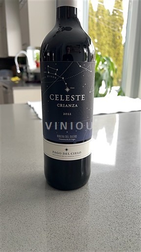 Castilien og León Ribera del Duero Pago del Cielo Celeste Crianza 2022