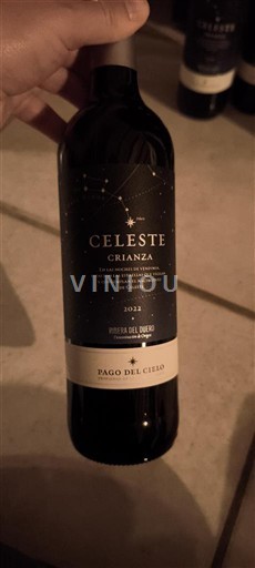 Castiglia e León Ribera del Duero Pago del Cielo Celeste Crianza 2022