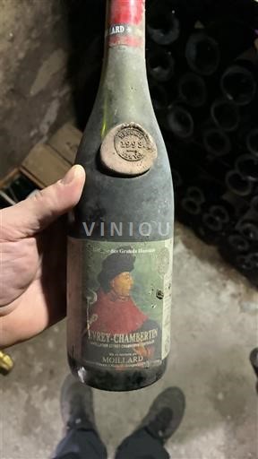 Bourgogne Gevrey-chambertin Moillard 1993