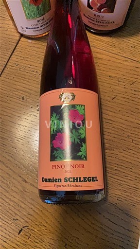 Alsace Damien Schlegel 2024