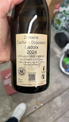 Bourgogne Ladoix Domaine Cachat-Ocquidant 2024