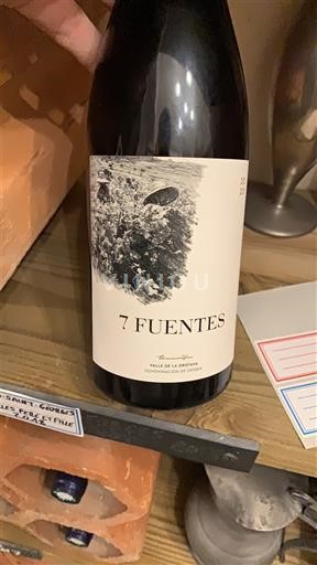 Kanarieöarna Valle de la Orotava Suertes del Marqués 7 Fuentes 2020