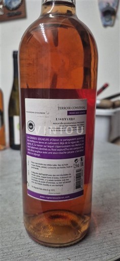 Südwestfrankreich Côtes du Lot Vignerons d'Oltéan Terroir Convivial 2021