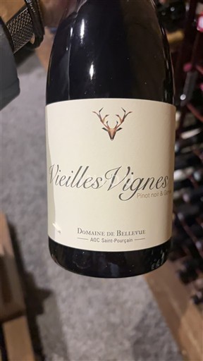 Vallée de la Loire Saint-Pourçain Domaine Bellevue Vieilles Vignes 2022