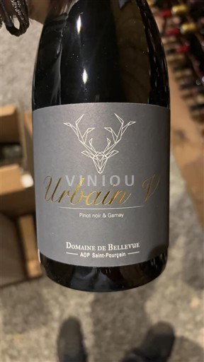 Vallée de la Loire Saint-Pourçain Domaine Bellevue Urbain V 2019