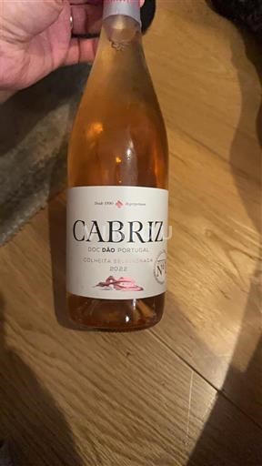 Portugali Dão Cabriz 2022