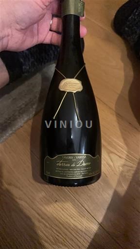 Vénétie Amarone della Valpolicella Tayiorda Varon Terra di Dom Non Millésimé