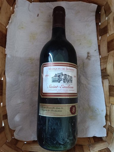 Bordeaux Saint-Émilion Marquis de DompÉ 1996