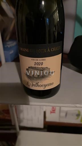 Dolina Loare Domaine Four à Chaux L'Anthocyane 2020