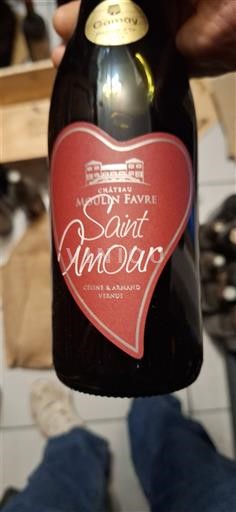 Beaujolais Saint-Amour Domaine Moulin Favre 2023