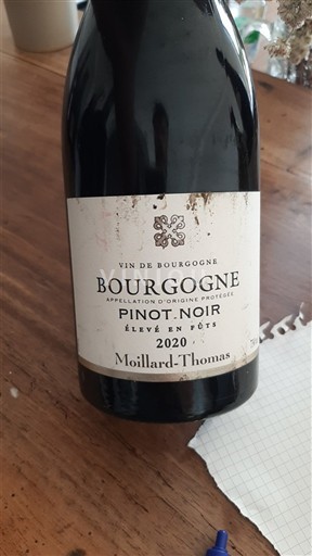 Burgundija Moillard-Thomas Pinot Noir élevé en fûts 2020