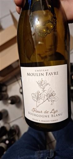 Bourgogne Bourgogne-aligoté Château Moulin Favre Fleur de Lys 2024