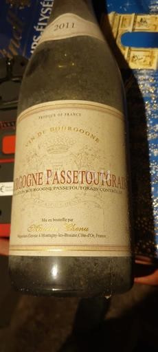 Borgogna Borgogna-passetoutgrain Domaine René Monde 2011