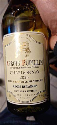 Jura Arbois Régis Bulabois 2023