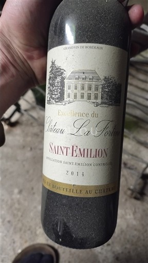 Bordeaux Saint-Émilion Château La Fortine Excellence 2011