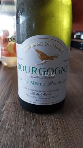 Burgundi Bourgogne Domaine Merle Clos Du Merle 2019