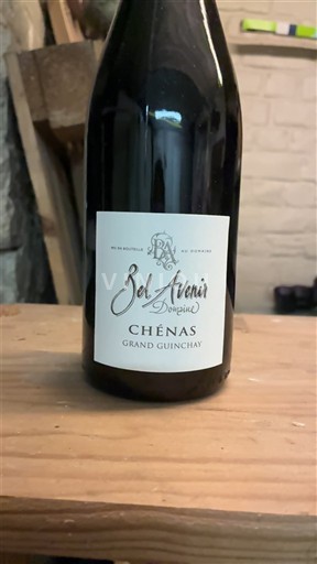 Beaujolais Chénas Bel Avenir Grand Guinchay 2023
