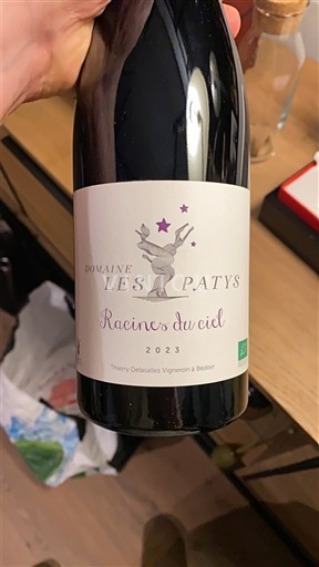 Bordeaux Domaine Les Patys Racines du ciel 2023