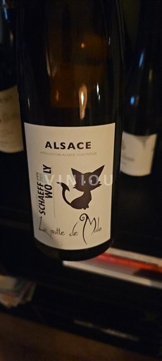 Alsazia Schaefert La patte de Mia 2018