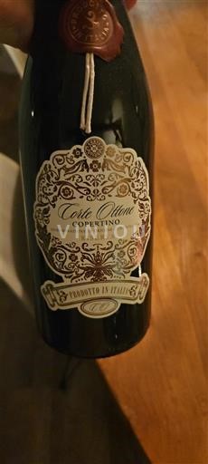 Apulia Copertino Corte Ottone 2017