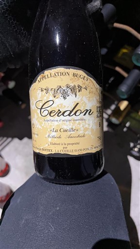 Savoja in Bugej Bugey-Cerdon Domaine Renardat-Fâche La Cueille Neleten.