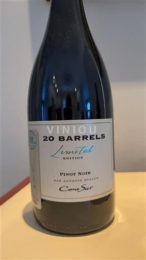 Dolina San Antonio Cono Sur 20 Barrels Limited Edition Neleten.