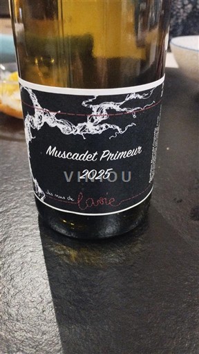 Loiretal Muscadet Domaine Les vins de la Vie Primeur 2025