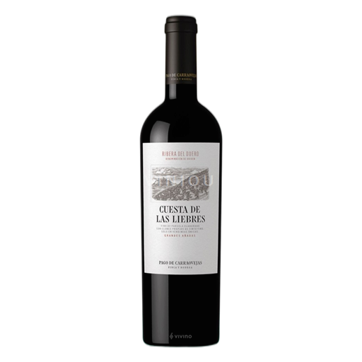 Castilien og León Ribera del Duero Pago de Carraovejas Cuesta de las Liebres 2020