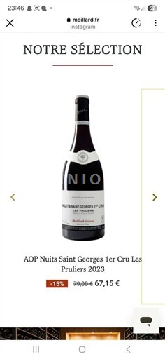 Bourgogne Premier Cru Moillard Les Pruliers 2023