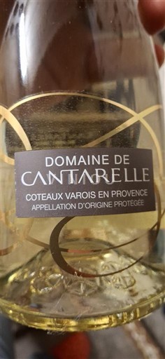 Provence Coteaux Varois en Provence Domaine Cantarelle 2023