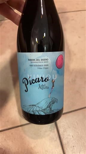 Castilien og León Ribera del Duero Dominio del Águila Pícaro del Águila 2020