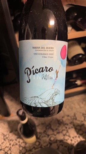 Castilla y León Ribera del Duero Dominio del Águila Pícaro del Águila 2020