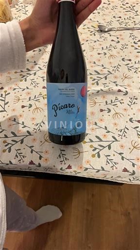 Castela e Leão Ribera del Duero Dominio del Águila Pícaro del Águila 2020