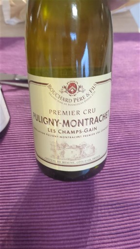 Bourgondië Puligny-Montrachet Premier Cru Bouchard Père & Fils Les Champs-Gain 2015