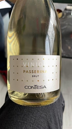 Abruci Passerina Contesa Passerina Brut Neleten.