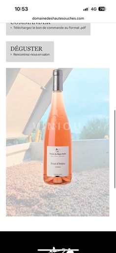 Vale do Loire Rosé d'Anjou Domaine S Hautes Souches Não Sazonado